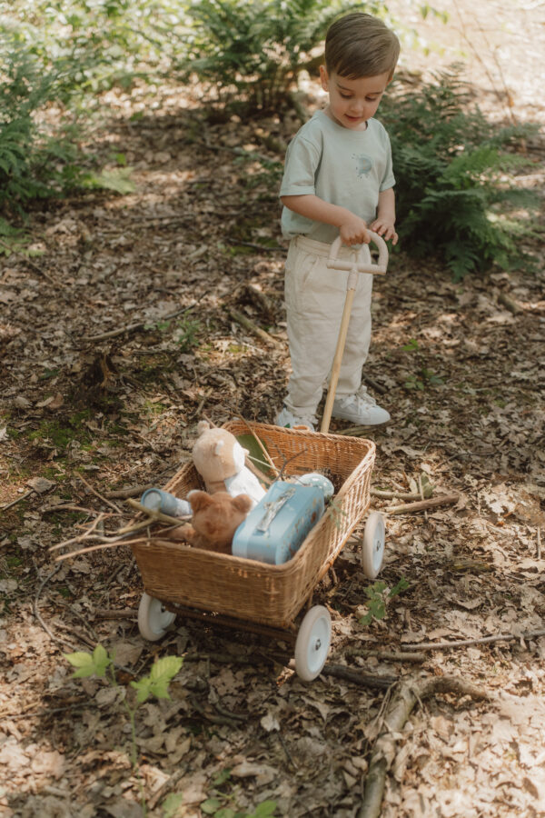 Suitcases Forest Friends FSC